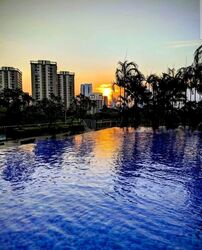 The Rochester Residences (D5), Apartment #636467451